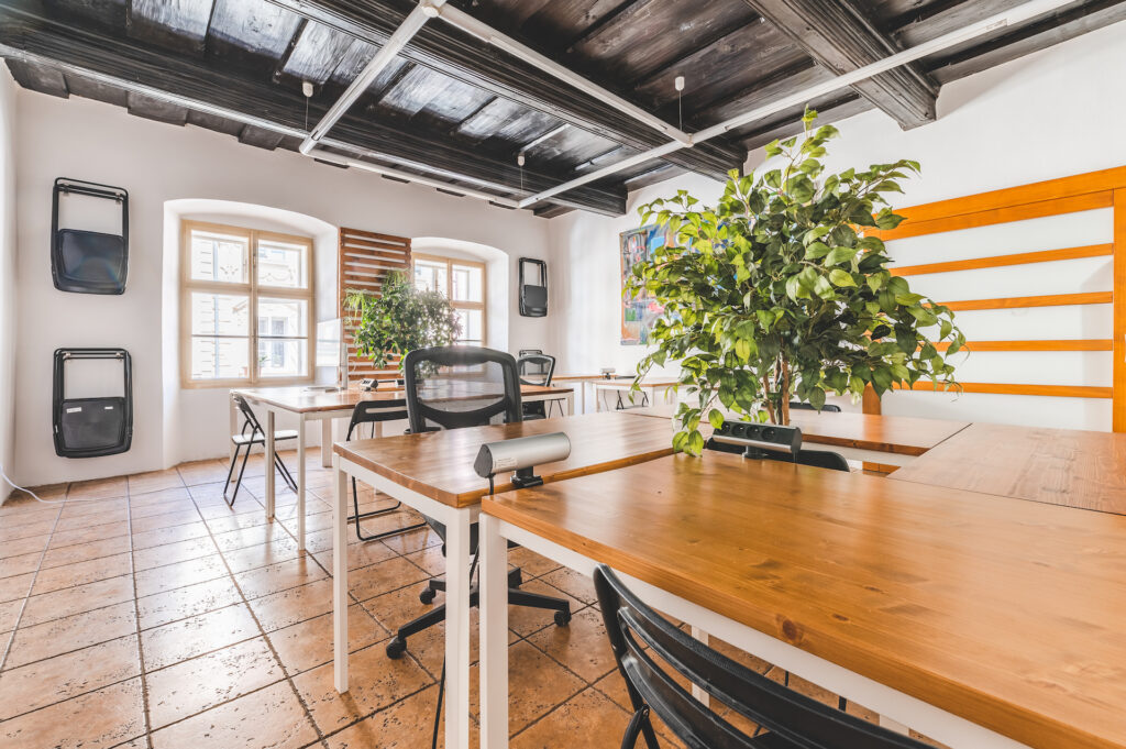 zadní open space v cowo cb