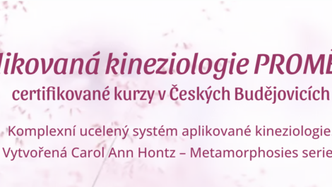 Certifikovaný kurz Aplikované kineziologie s Petrou Rusňákovou